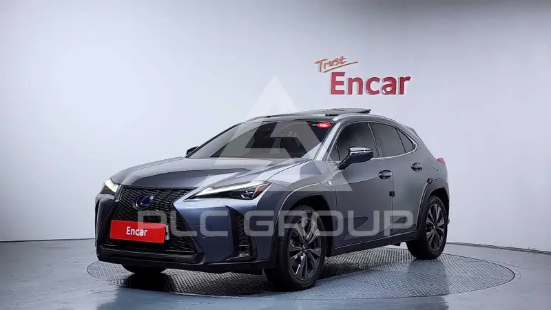 2020 Lexus UX