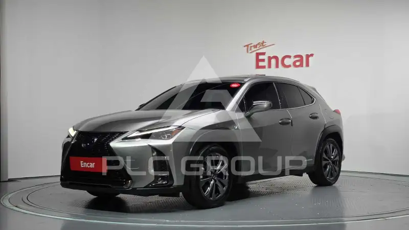 2020 Lexus UX