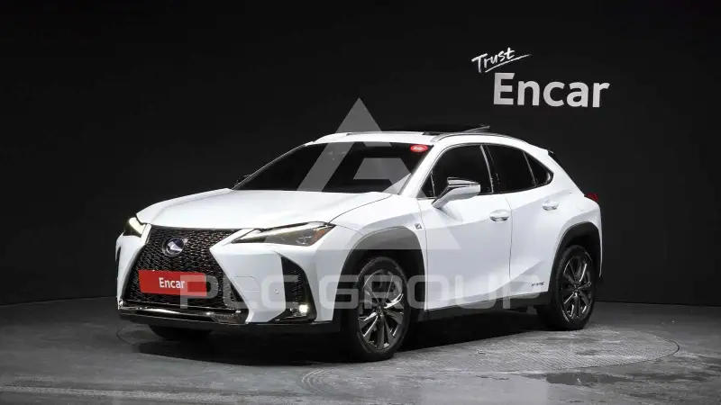 2020 Lexus UX