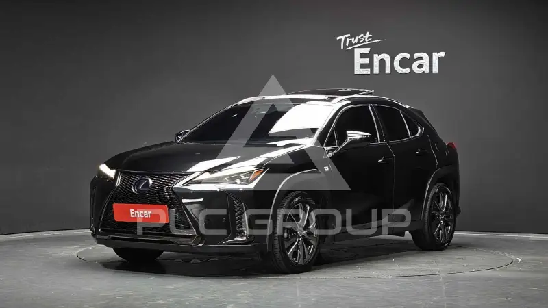 2020 Lexus UX