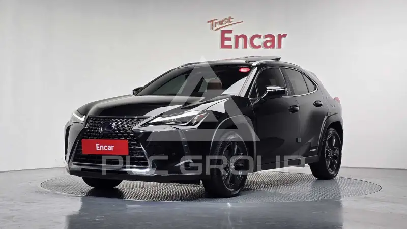 2020 Lexus UX