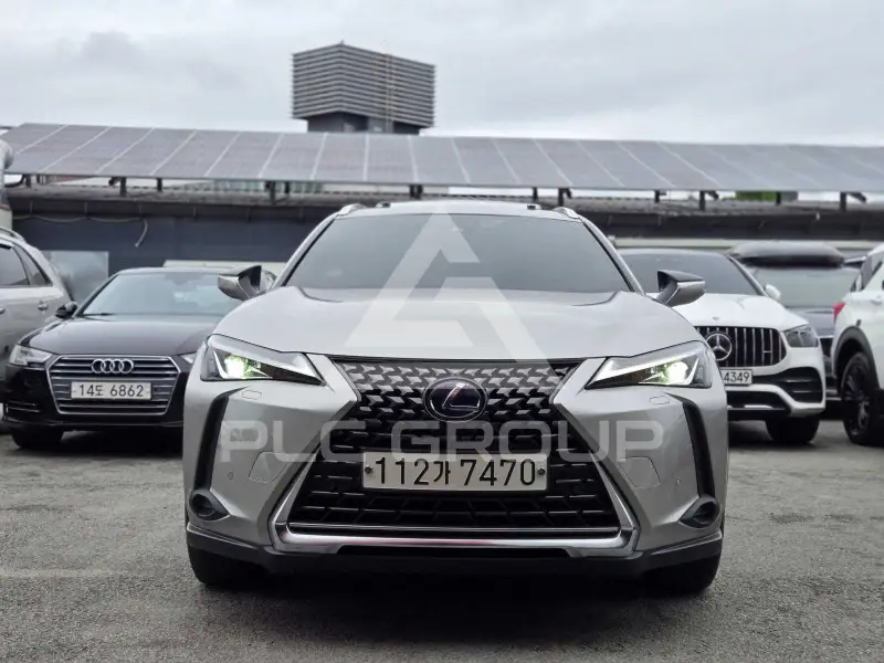 2020 Lexus UX