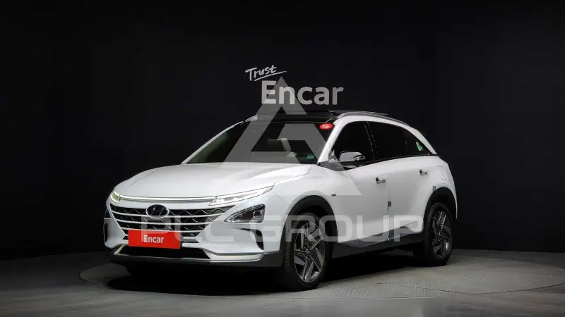 2020 Hyundai Nexo