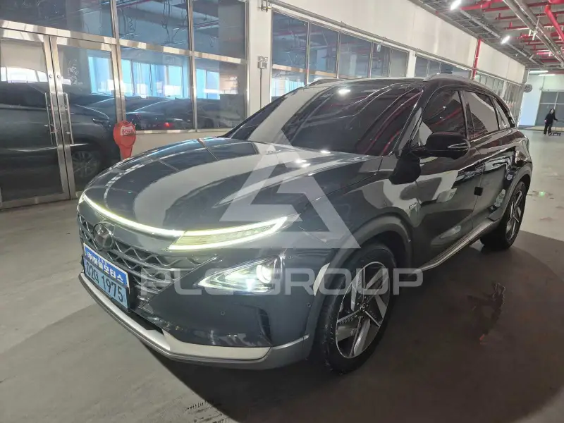 2020 Hyundai Nexo