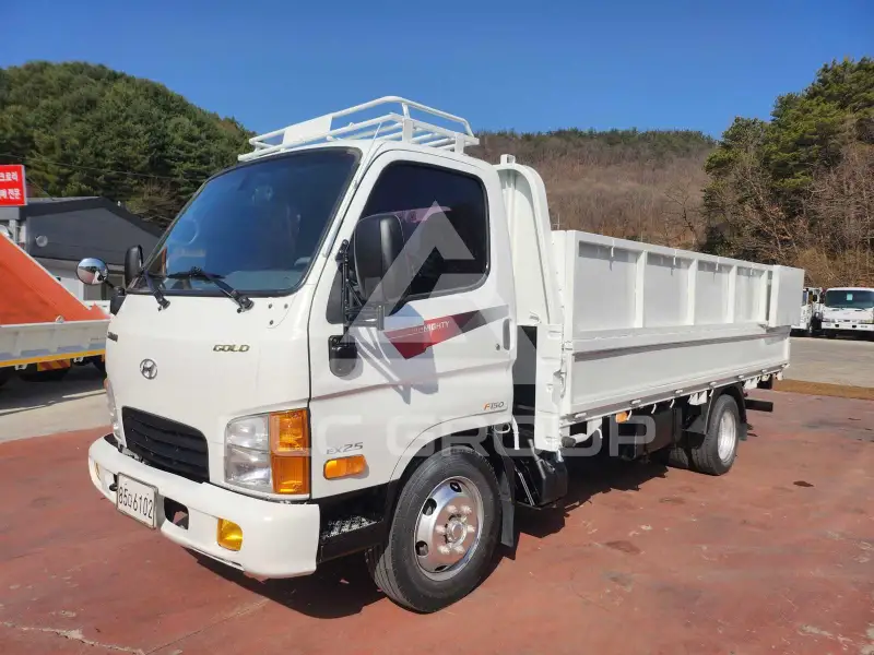 2020 Hyundai Mighty