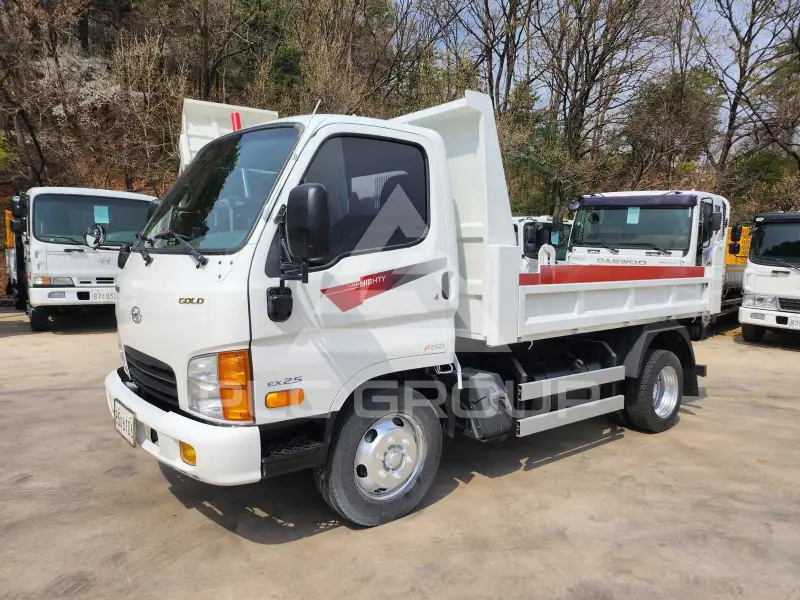 2020 Hyundai Mighty