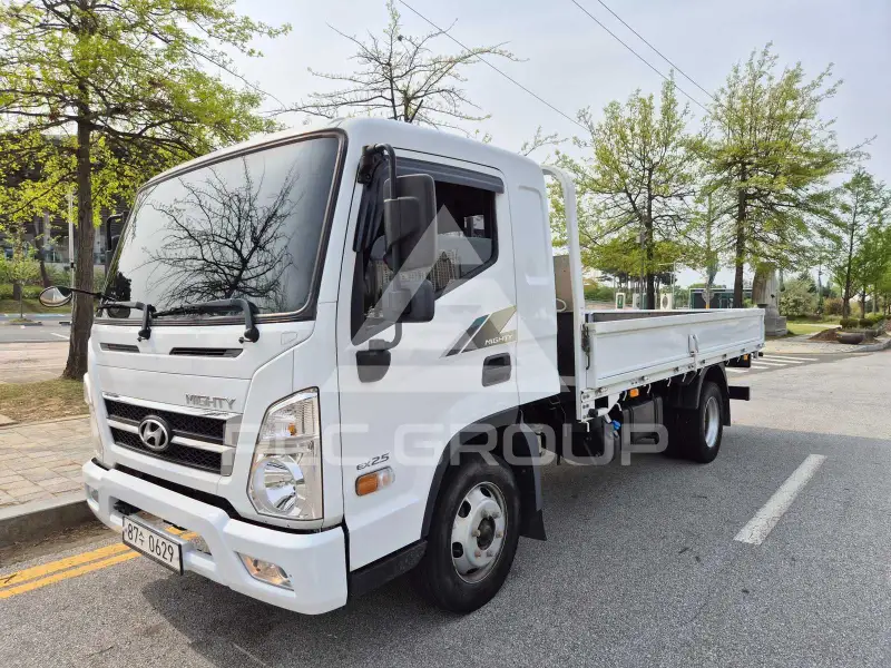 2020 Hyundai Mighty