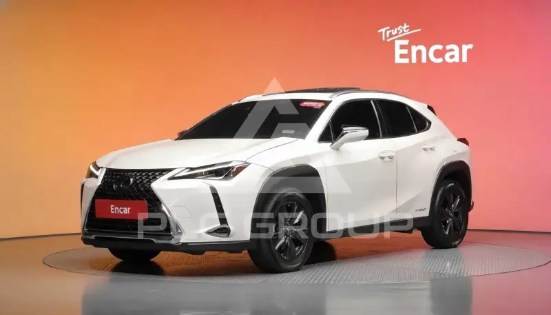 2020 Lexus UX