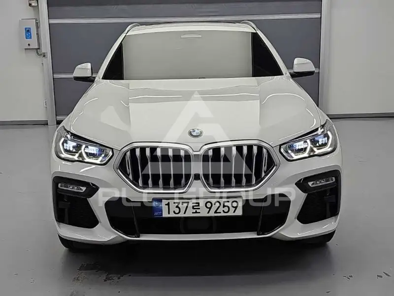 2021 BMW X6