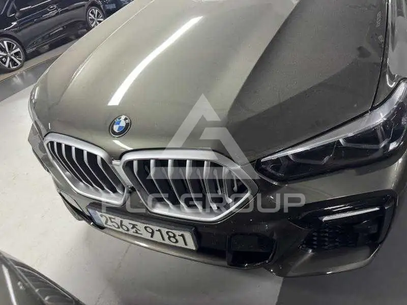 2021 BMW X6