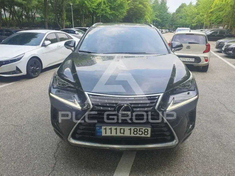 2021 Lexus NX