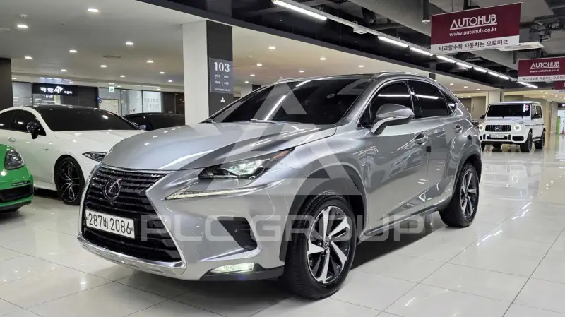 2021 Lexus NX