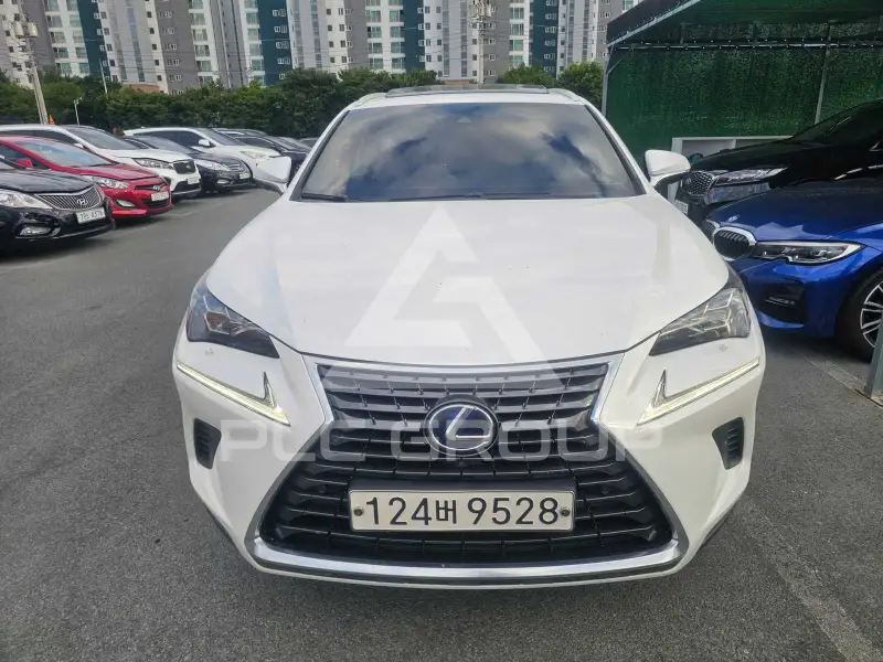 2021 Lexus NX