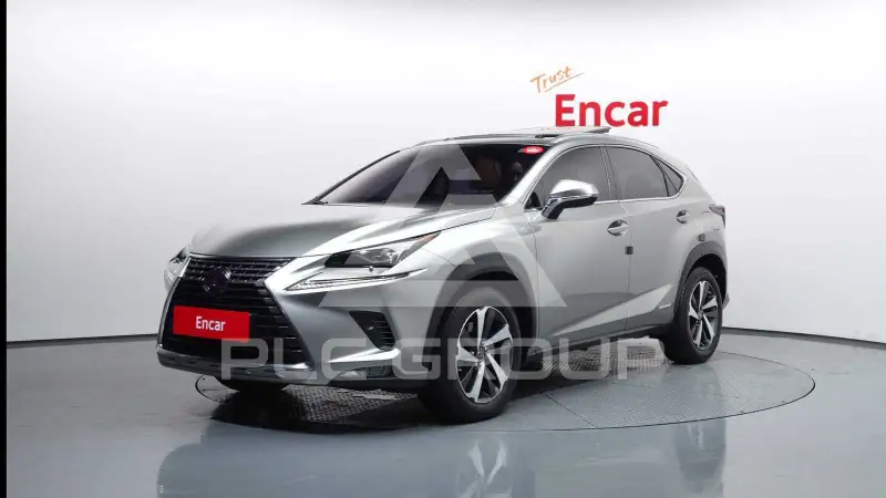 2021 Lexus NX