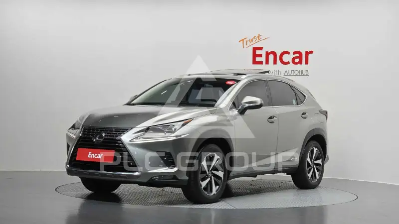 2021 Lexus NX
