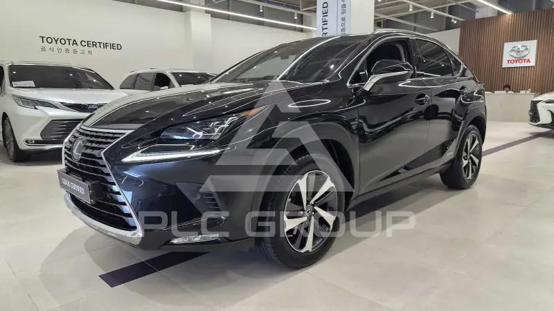 2021 Lexus NX