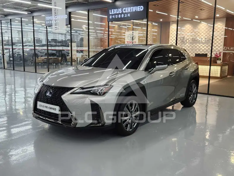 2021 Lexus UX