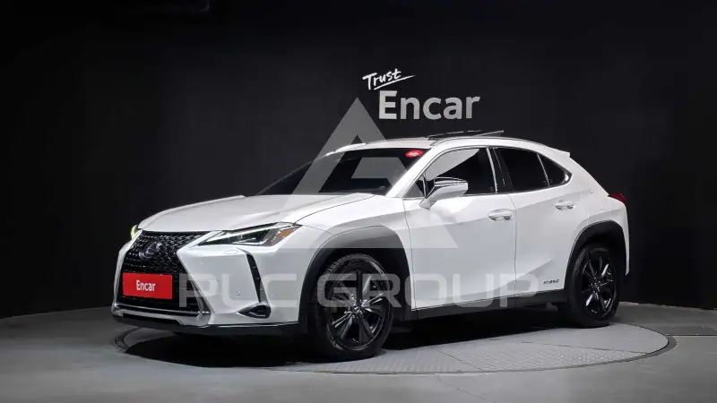 2021 Lexus UX