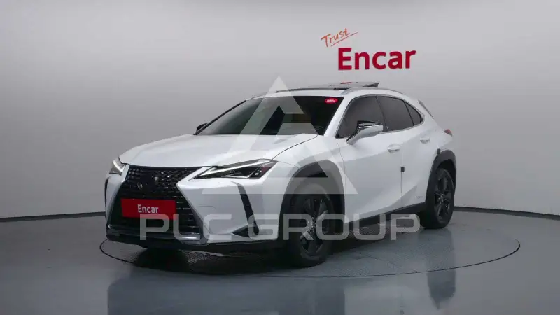 2021 Lexus UX