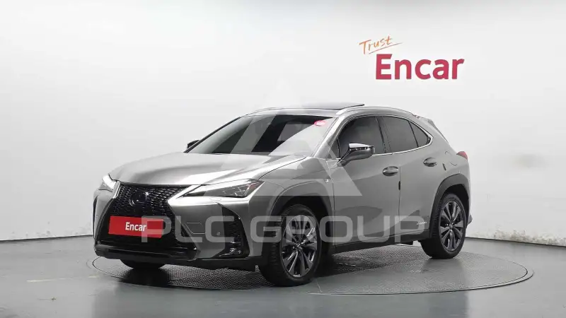 2021 Lexus UX