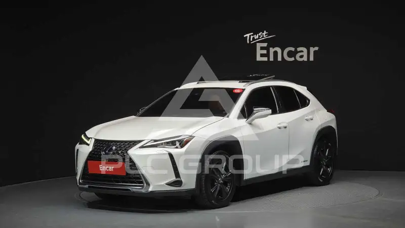 2021 Lexus UX