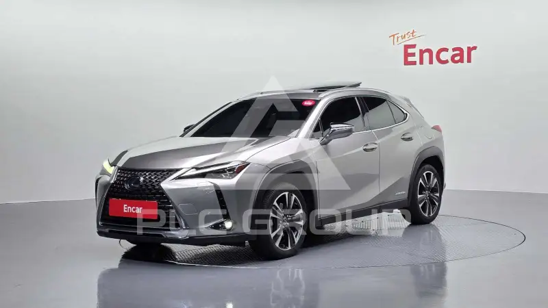2021 Lexus UX