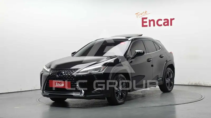 2021 Lexus UX