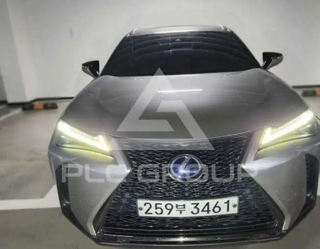 2021 Lexus UX