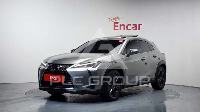 2021 Lexus UX