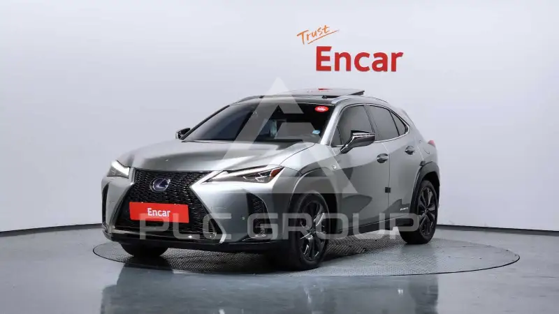 2021 Lexus UX