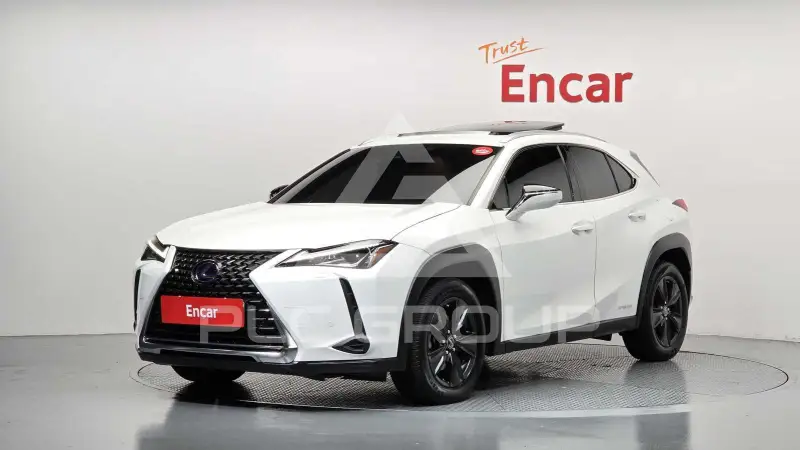2021 Lexus UX