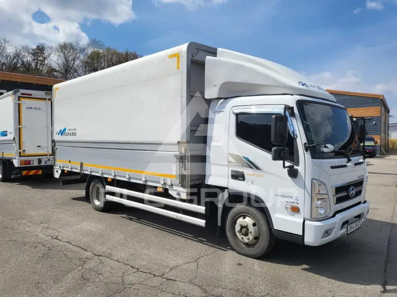 2021 Hyundai Mighty