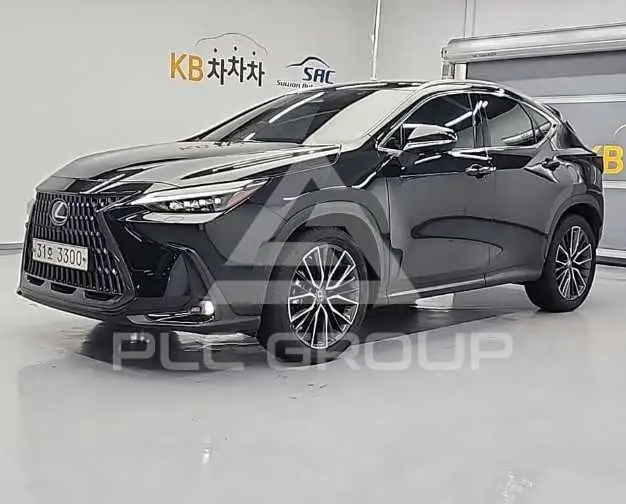 2022 Lexus NX
