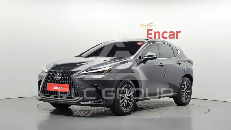 2022 Lexus NX