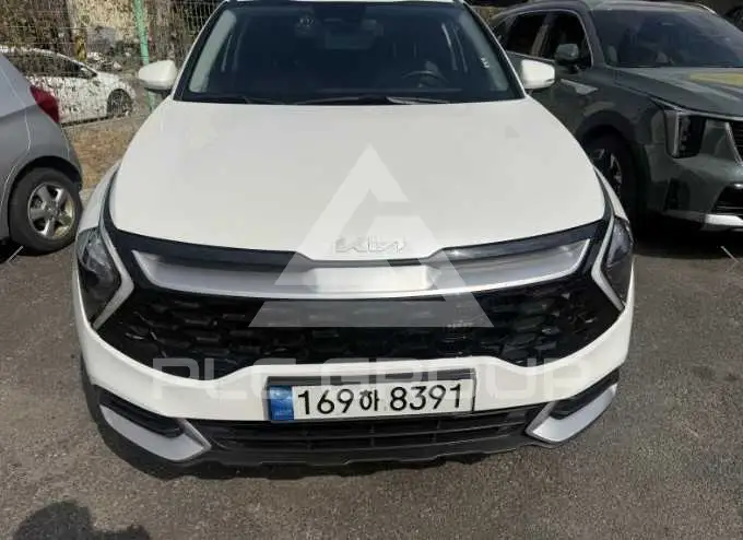 2022 KIA Sportage