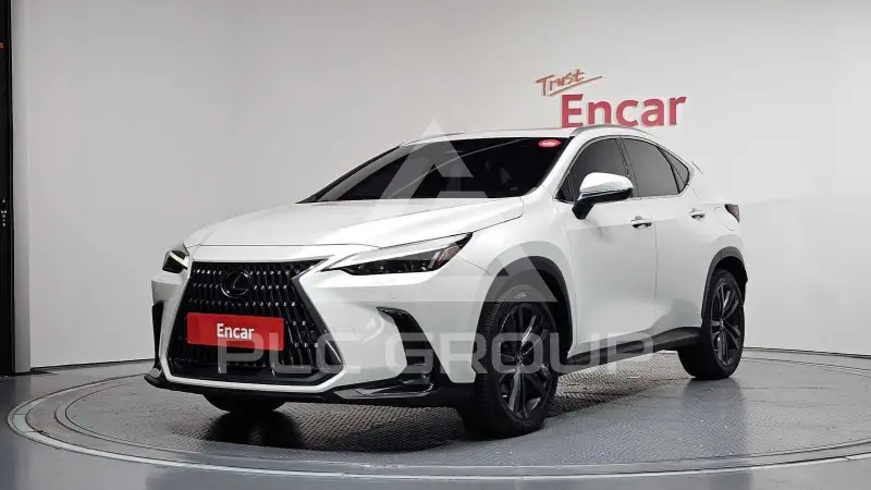 2023 Lexus NX
