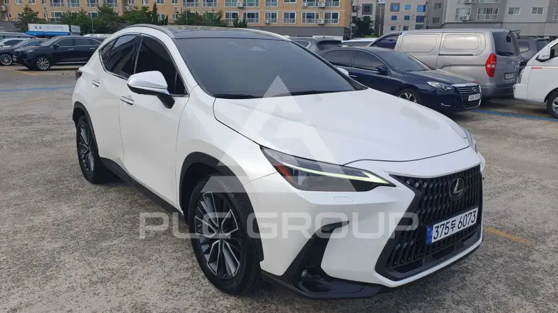 2023 Lexus NX