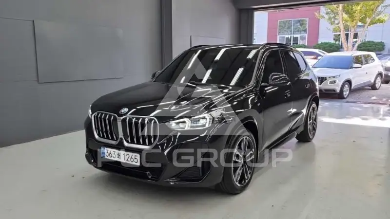 2024 BMW X1M