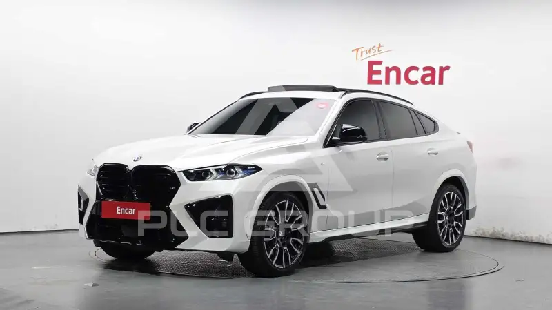 2024 BMW X6