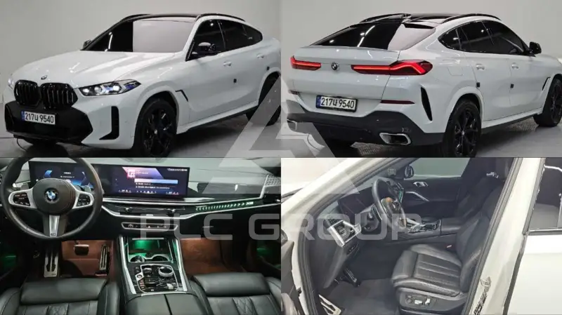 2024 BMW X6