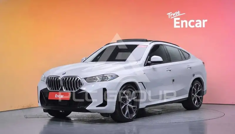 2024 BMW X6