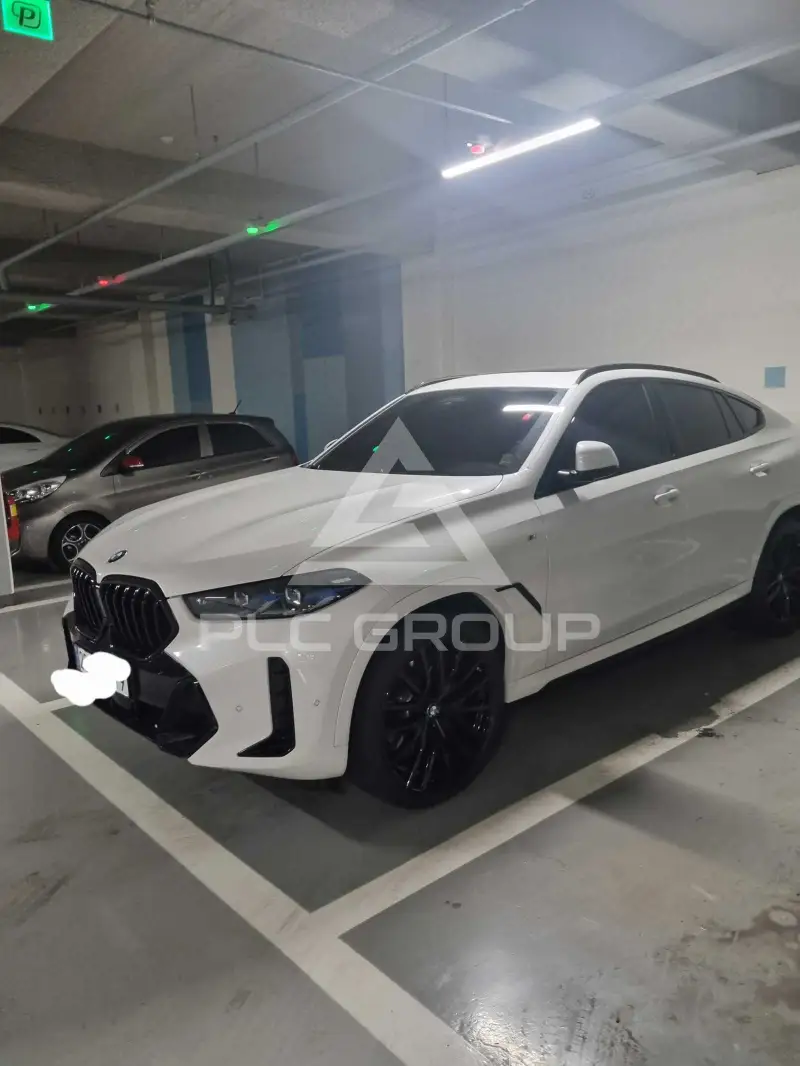 2024 BMW X6M