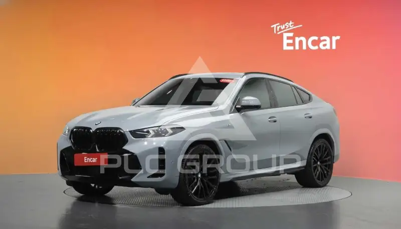 2024 BMW X6