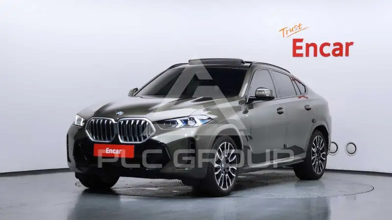 2024 BMW X6M