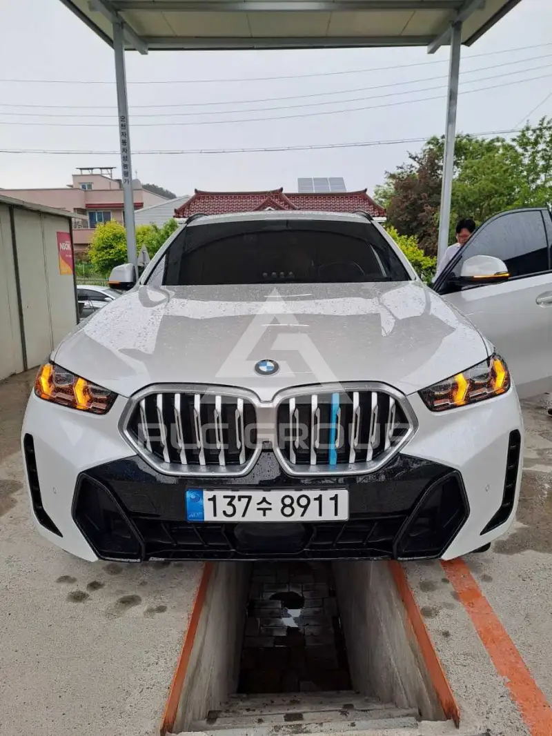 2024 BMW X6M
