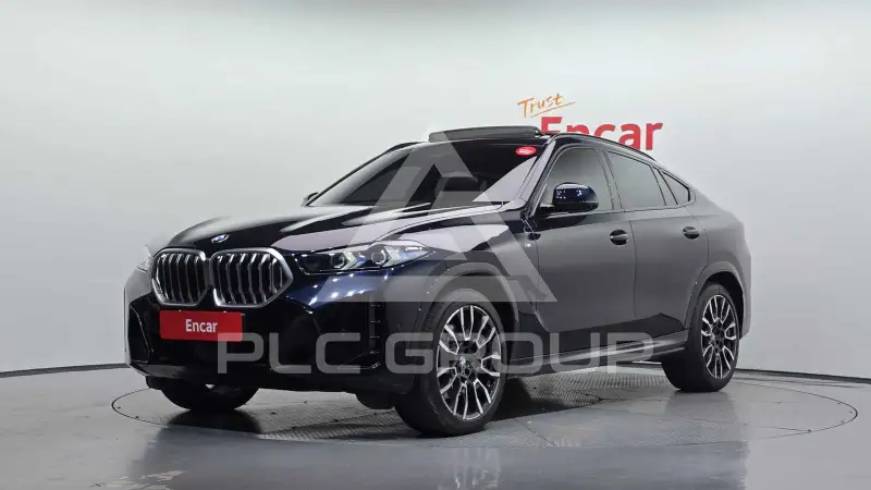 2024 BMW X6