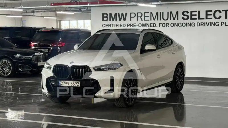 2024 BMW X6M