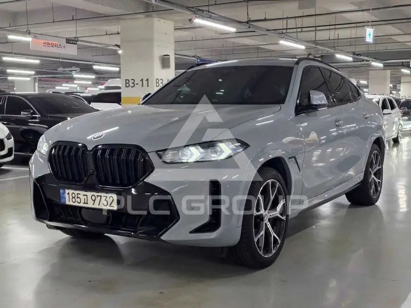 2024 BMW X6M