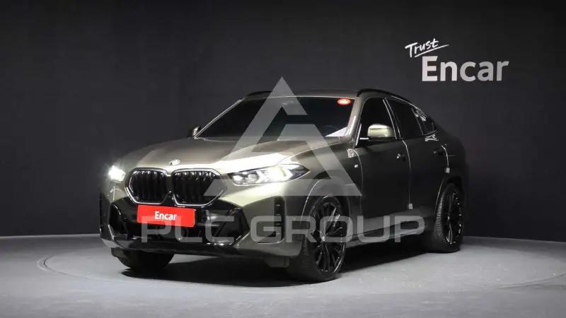 2024 BMW X6