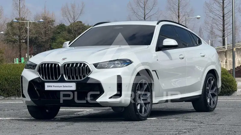 2024 BMW X6M